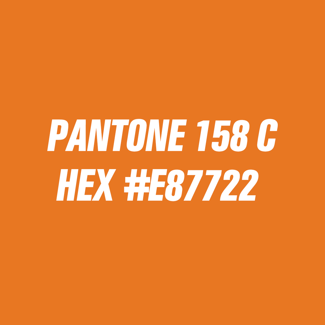RUGD pantone and hex
