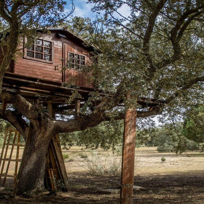 Large wooden treehouse built on sturdy branches of a tree, showcasing its design and structure amidst a natural outdoor setting.