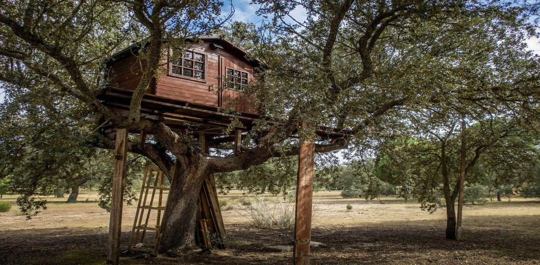 Large wooden treehouse built on sturdy branches of a tree, showcasing its design and structure amidst a natural outdoor setting.