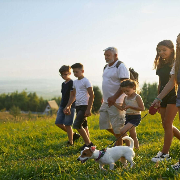 Family hiking with their dog in a grassy field during sunset